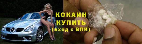 индика Белоозёрский