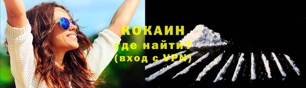 соль ск Богданович
