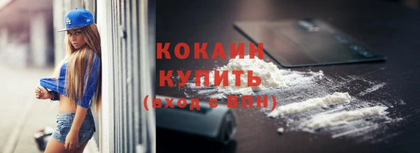индика Белоозёрский