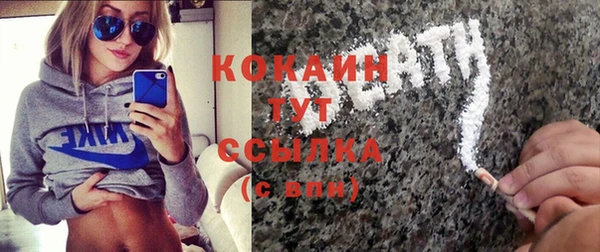 соль ск Богданович