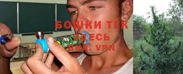 соль ск Богданович
