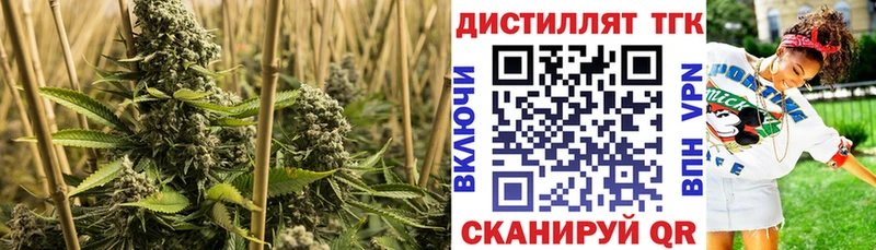Дистиллят ТГК гашишное масло Красный Кут