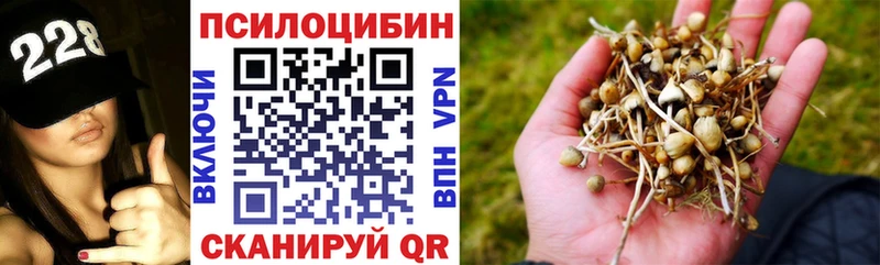 цена наркотик  blacksprut рабочий сайт  Псилоцибиновые грибы прущие грибы  Красный Кут 